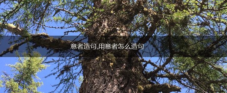 意者造句,用意者怎么造句,第1张