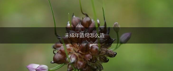 未成年造句怎么造,第1张