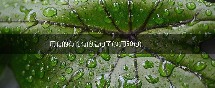用有的有的有的造句子(实用50句),第1张