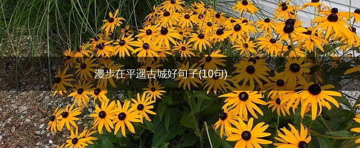 漫步在平遥古城好句子(10句),第1张