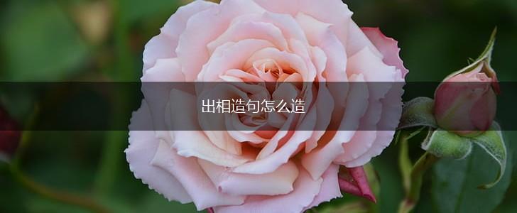 出相造句怎么造,第1张