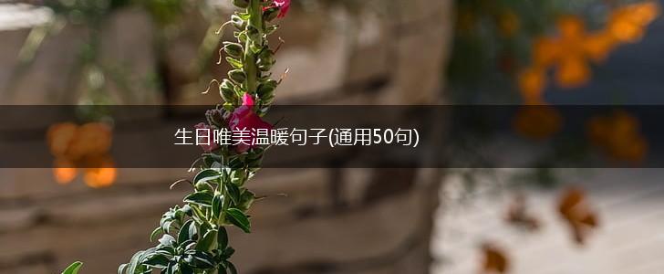 生日唯美温暖句子(通用50句),第1张