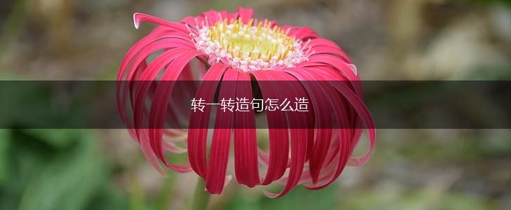 转一转造句怎么造,第1张