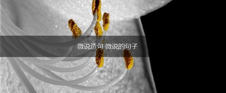 微说造句 微说的句子,第1张