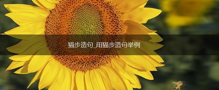 猫步造句_用猫步造句举例,第1张