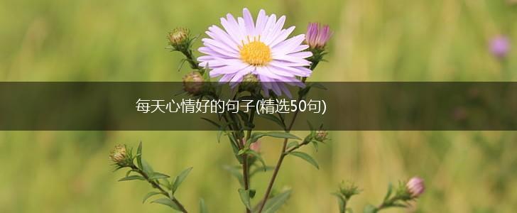 每天心情好的句子(精选50句),第1张