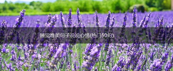 睡觉唯美句子说说心情(热门50句),第1张