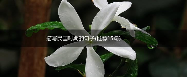 描写民国时期的句子(推荐15句),第1张