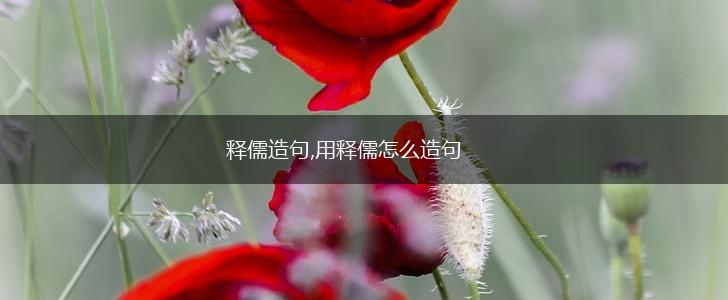 释儒造句,用释儒怎么造句,第1张