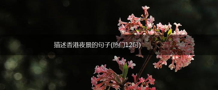 描述香港夜景的句子(热门12句),第1张