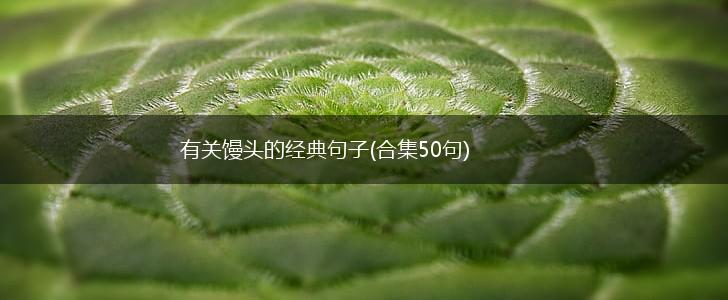 有关馒头的经典句子(合集50句),第1张