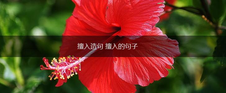 擅入造句 擅入的句子,第1张