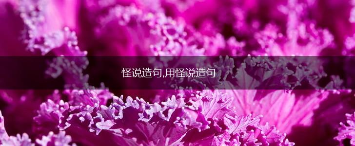 怪说造句,用怪说造句,第1张