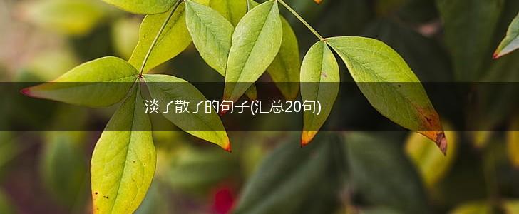 淡了散了的句子(汇总20句),第1张