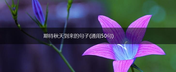 期待秋天到来的句子(通用50句),第1张