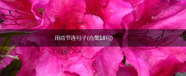 用音节连句子(合集18句),第1张