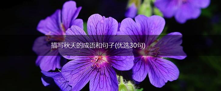 描写秋天的成语和句子(优选30句),第1张