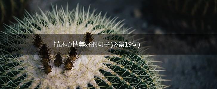 描述心情美好的句子(必备19句),第1张