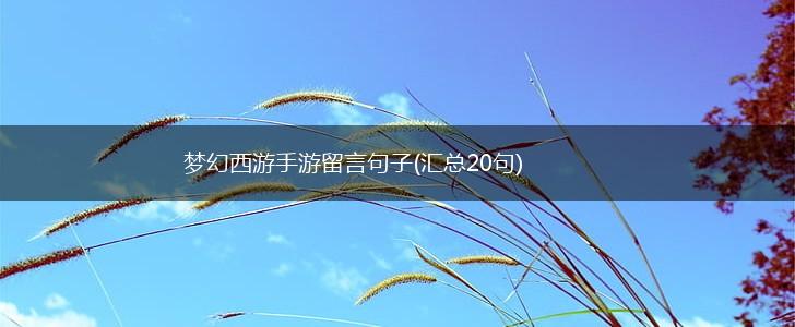 梦幻西游手游留言句子(汇总20句),第1张