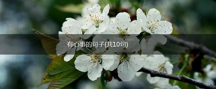 有心事的句子(共10句),第1张