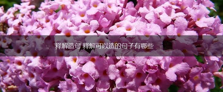 释解造句 释解可以造的句子有哪些,第1张