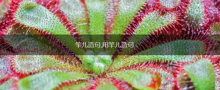 竿儿造句,用竿儿造句,第1张