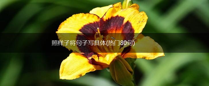 照样子将句子写具体(热门80句),第1张