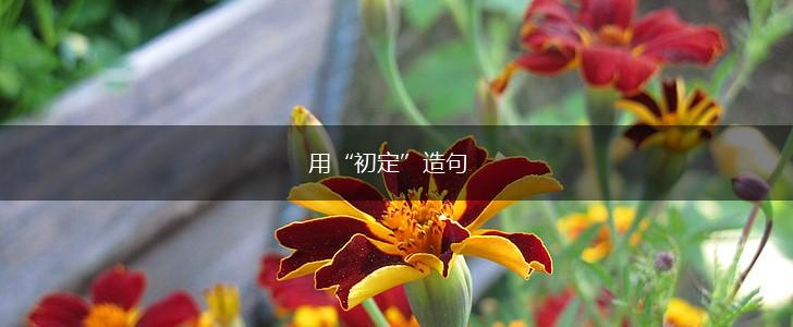 用“初定”造句,第1张