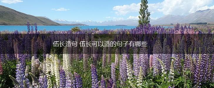 伍长造句 伍长可以造的句子有哪些,第1张