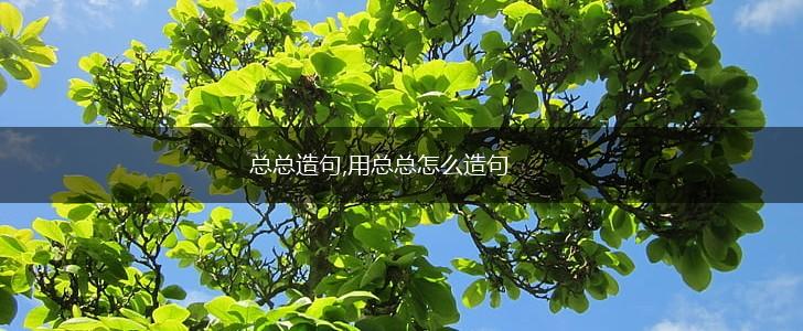 总总造句,用总总怎么造句,第1张
