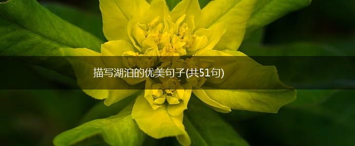 描写湖泊的优美句子(共51句),第1张