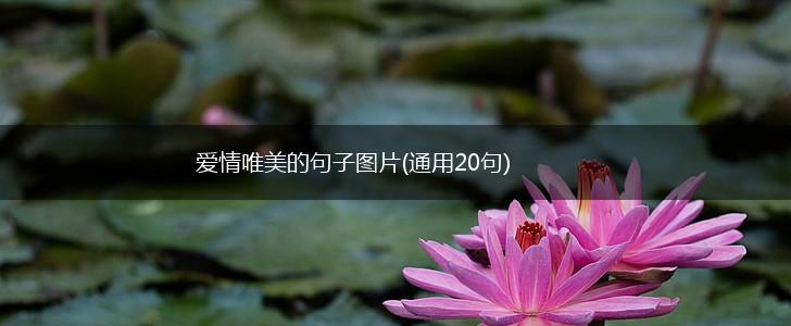 爱情唯美的句子图片(通用20句),第1张