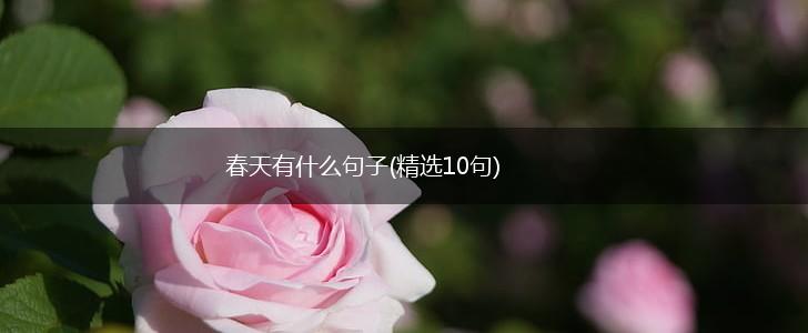 春天有什么句子(精选10句),第1张