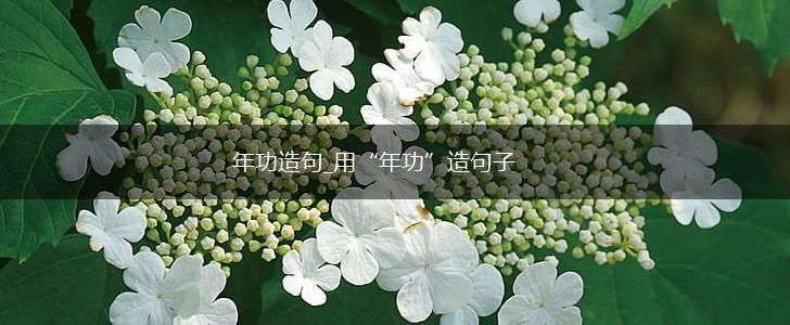 年功造句_用“年功”造句子,第1张