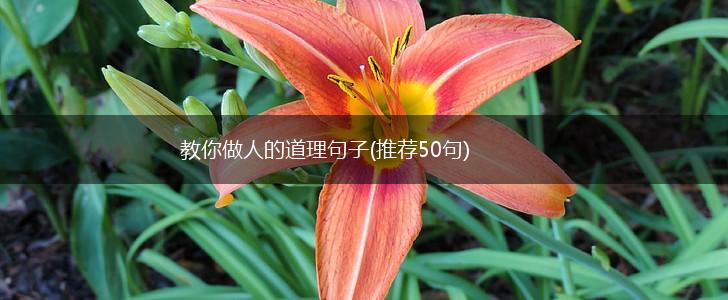 教你做人的道理句子(推荐50句),第1张