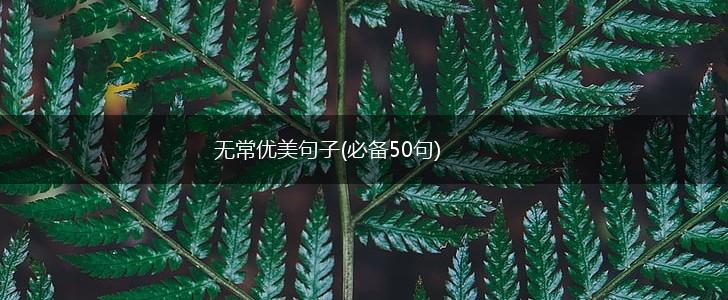 无常优美句子(必备50句),第1张
