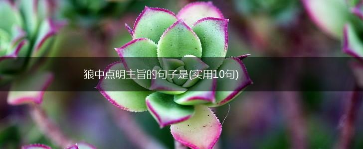 狼中点明主旨的句子是(实用10句),第1张