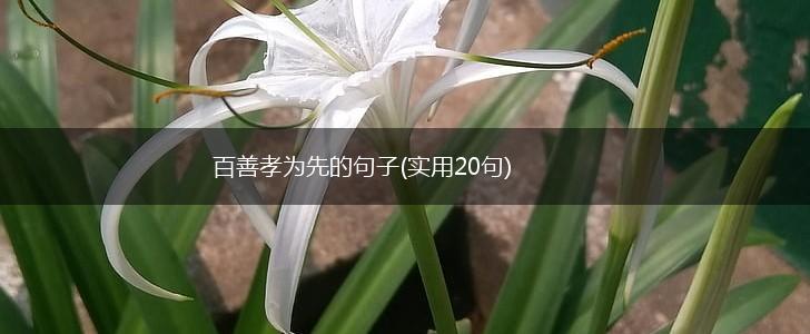 百善孝为先的句子(实用20句),第1张