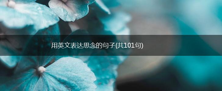 用英文表达思念的句子(共101句),第1张