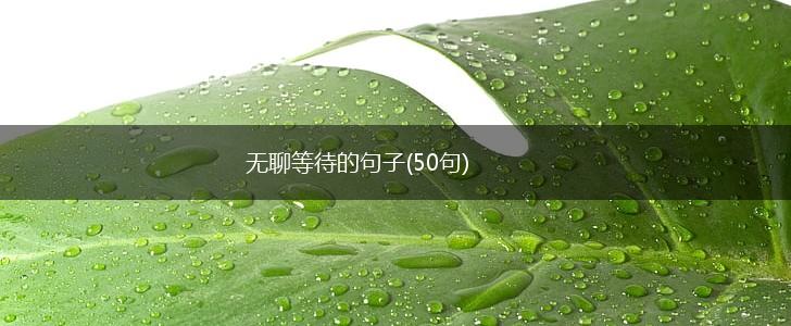无聊等待的句子(50句),第1张
