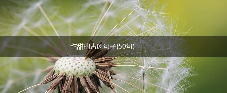 甜甜的古风句子(50句),第1张