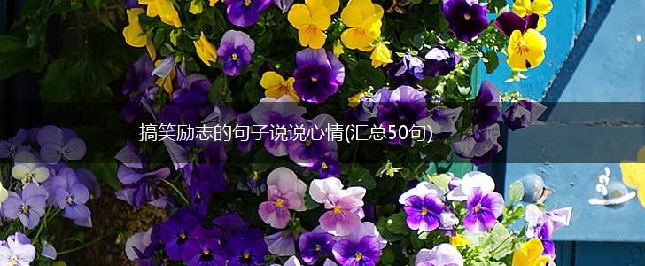 搞笑励志的句子说说心情(汇总50句),第1张