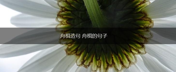 舟楫造句 舟楫的句子,第1张