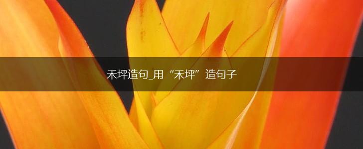 禾坪造句_用“禾坪”造句子,第1张