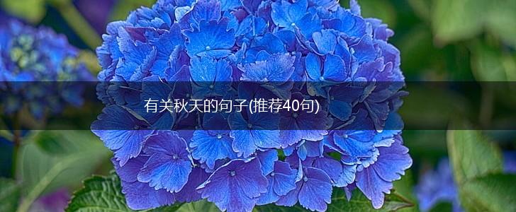 有关秋天的句子(推荐40句),第1张