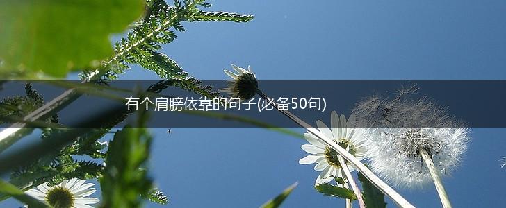 有个肩膀依靠的句子(必备50句),第1张