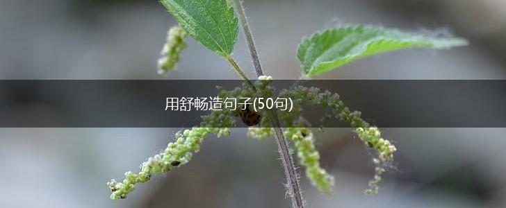 用舒畅造句子(50句),第1张