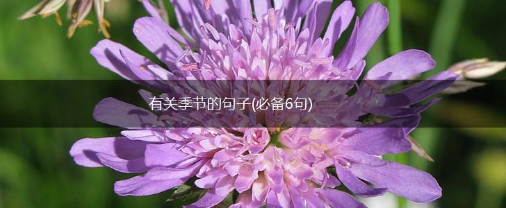 有关季节的句子(必备6句),第1张