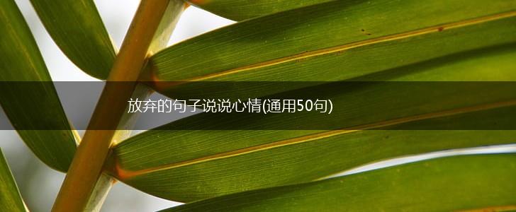 放弃的句子说说心情(通用50句),第1张