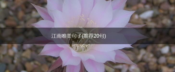 江南唯美句子(推荐20句),第1张